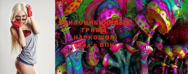 мяу мяу мука Аркадак