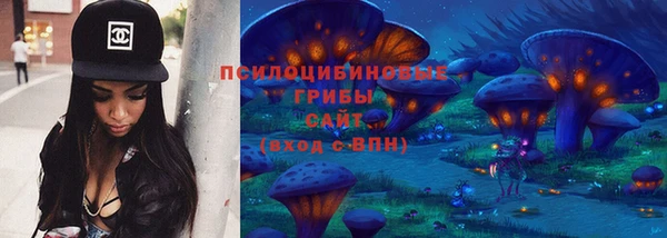 дживик Новокубанск